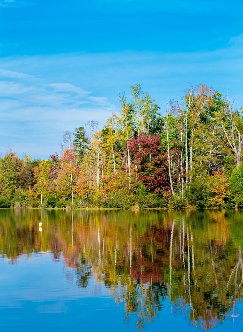 park, reflection, water, and trees representing areas served in concord nc
